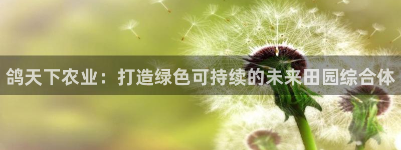 天辰娱乐 qq