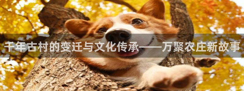 大庆天辰娱乐