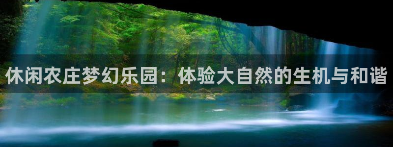 天辰娱乐服务