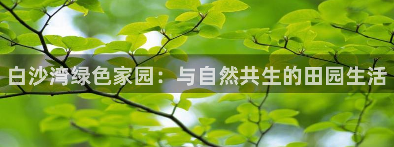 天辰娱乐集团
