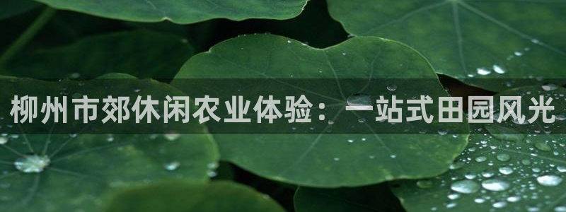 天辰娱乐线路