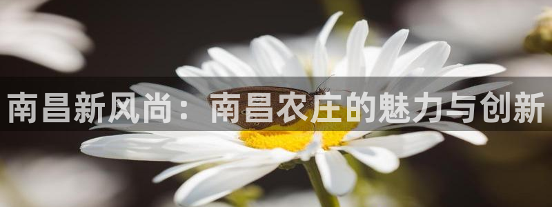 nba天辰娱乐