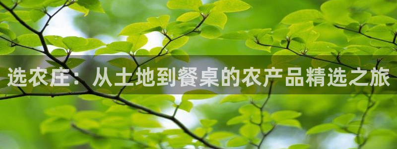 天辰娱乐首选