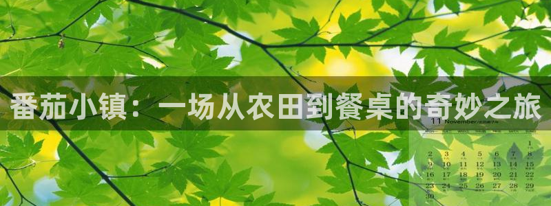 天辰娱乐信誉