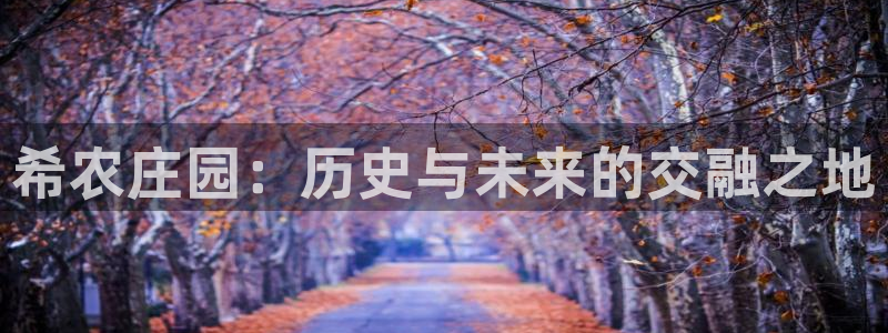 辰天娱乐用品