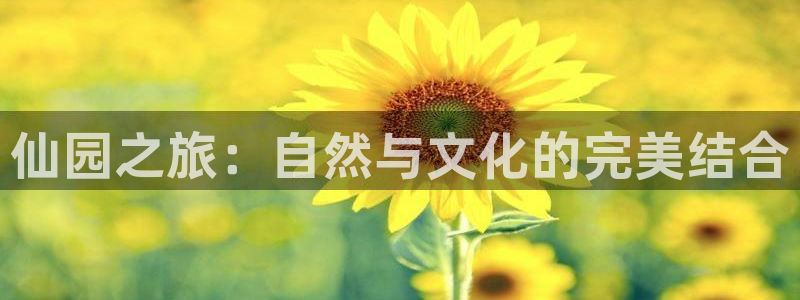 天辰娱乐好吗