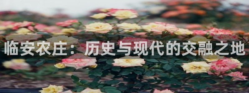 天辰娱乐游客
