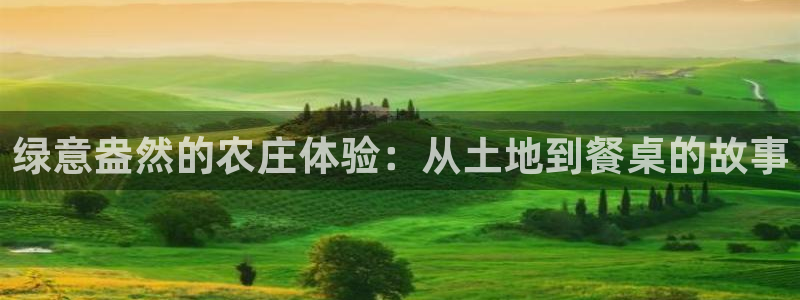 天辰娱乐集团