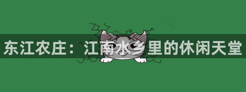 天辰娱乐老板