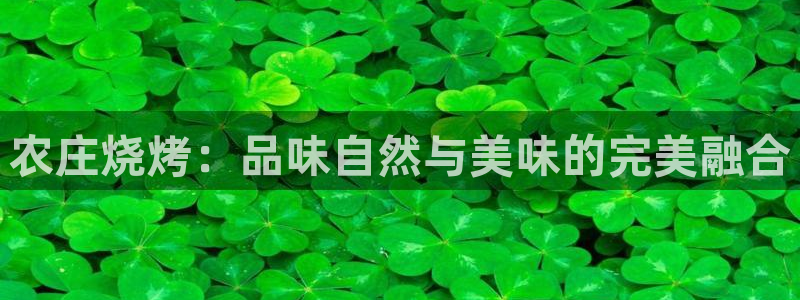 天辰辰娱乐代理
