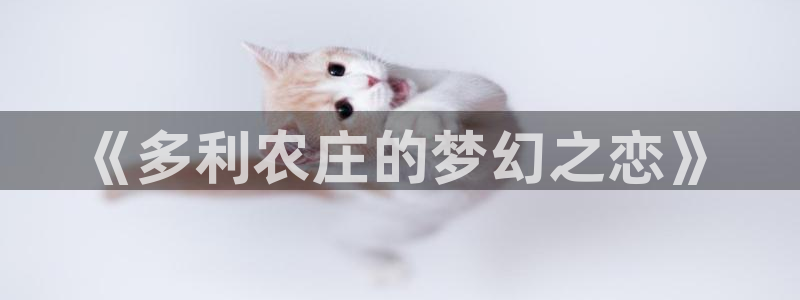 天辰宝娱乐