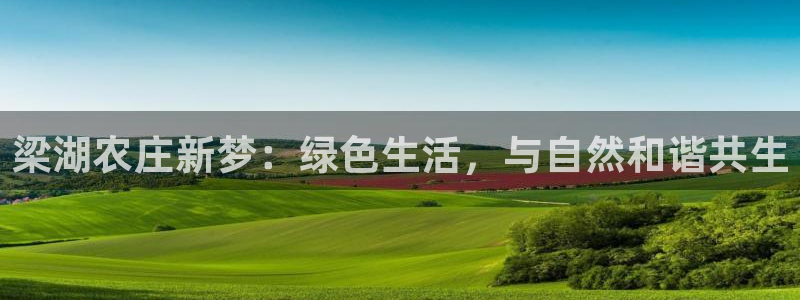 菲律宾天辰娱乐