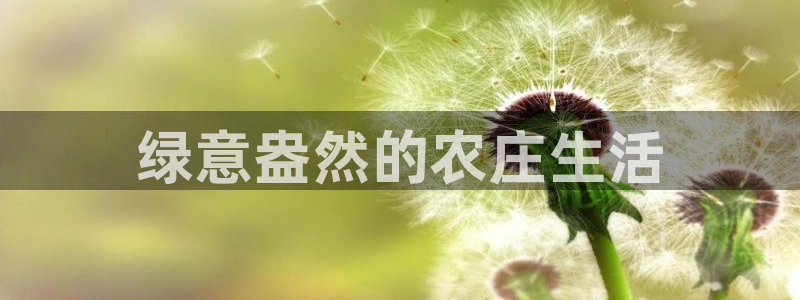 天辰a娱乐