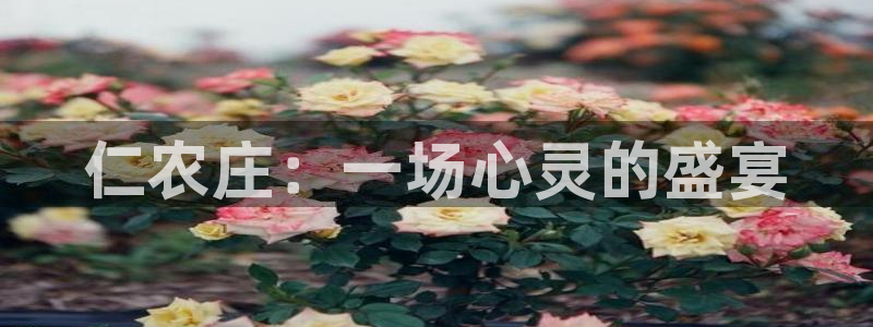 天辰娱乐台湾