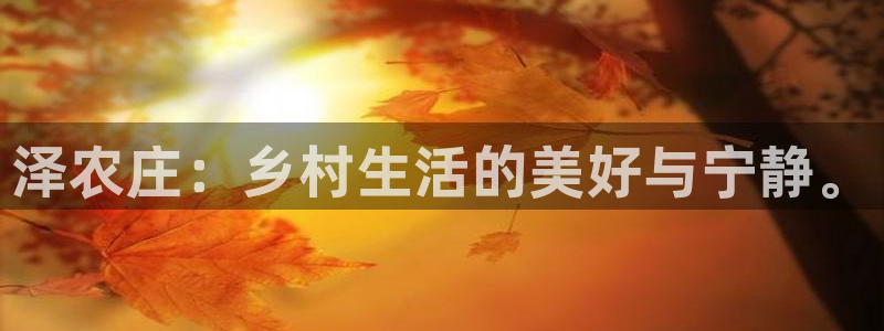 天辰娱乐链接