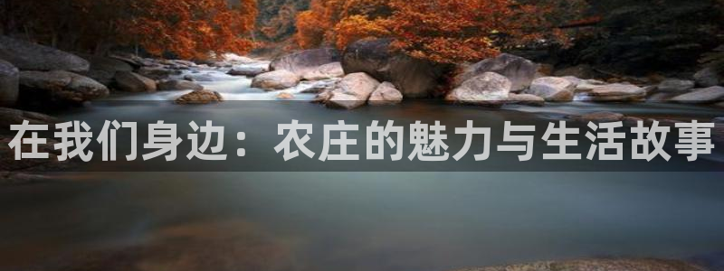 天辰娱乐简介