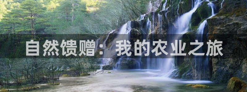 天辰娱乐网址娱乐游戏