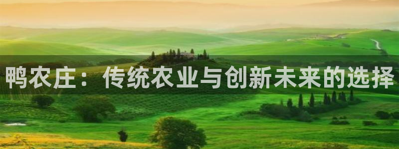 天辰娱乐指定
