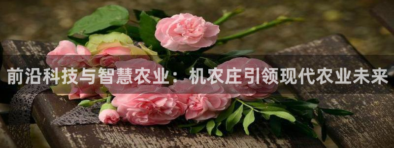 天辰娱乐39596