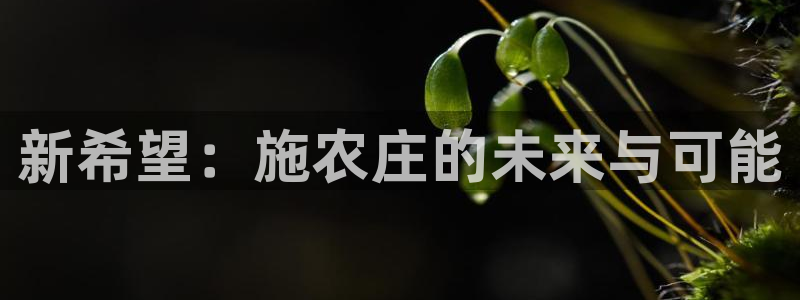 天辰娱乐分红