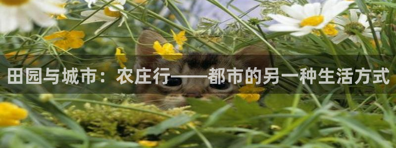 天辰娱乐传媒