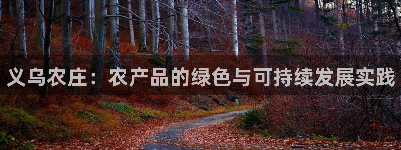 天辰娱乐老板