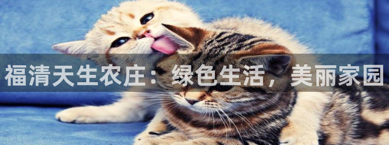 天辰娱乐_675138