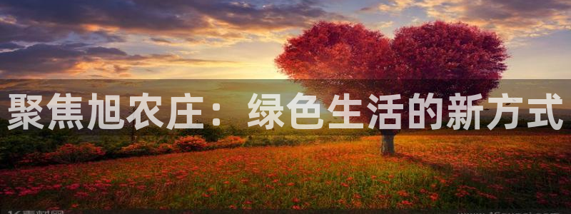 天辰 娱乐