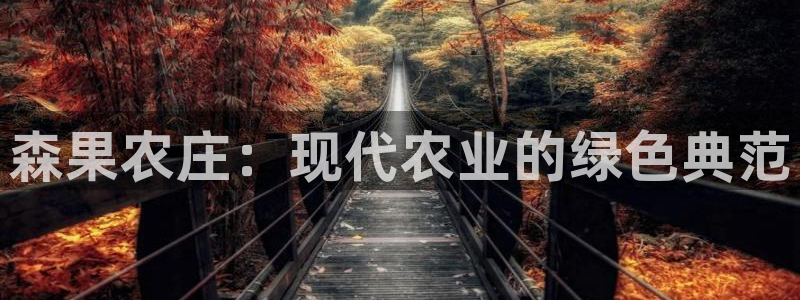 天辰娱乐待遇