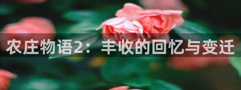 天辰娱乐解封