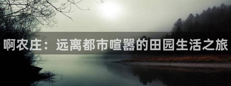 天辰娱乐557696