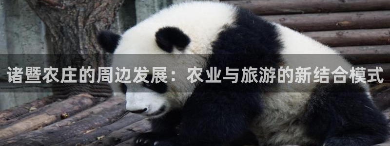 天辰娱乐鱼刺