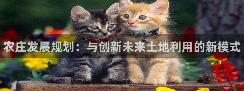 天辰娱乐ttf
