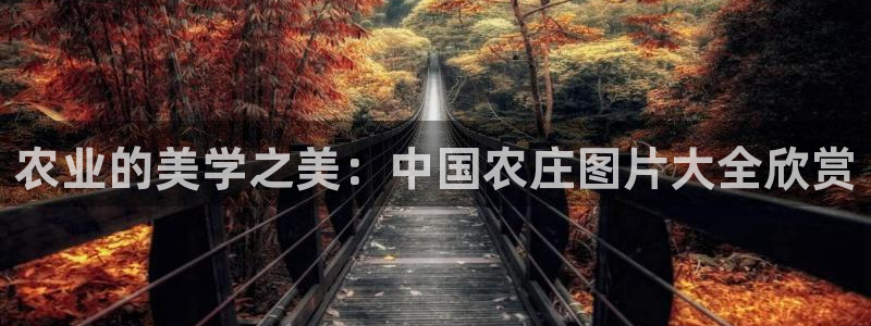 天辰娱乐所