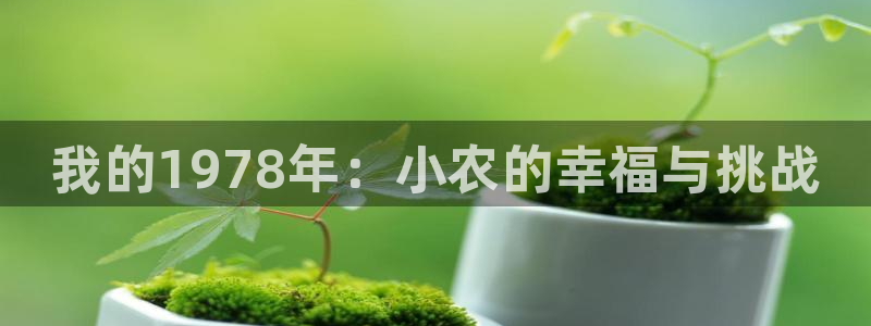 天辰娱乐新闻