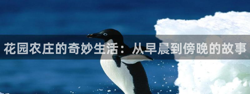 天辰娱乐 18113