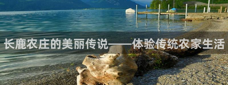 天辰娱乐地址