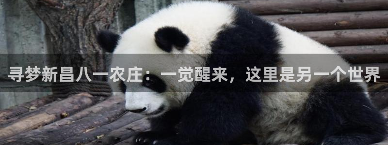 大庆天辰娱乐