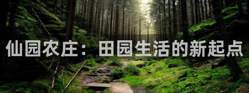 天辰娱乐指定