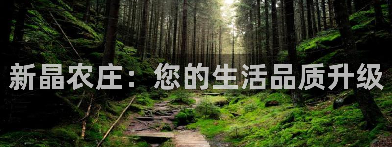 天辰娱乐75775