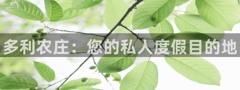 天辰娱乐APP下载