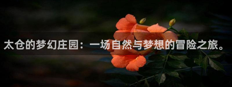天辰娱乐跑的快