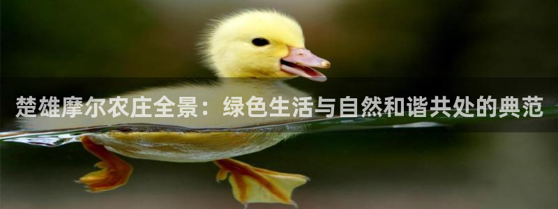 哈尔滨天辰娱乐