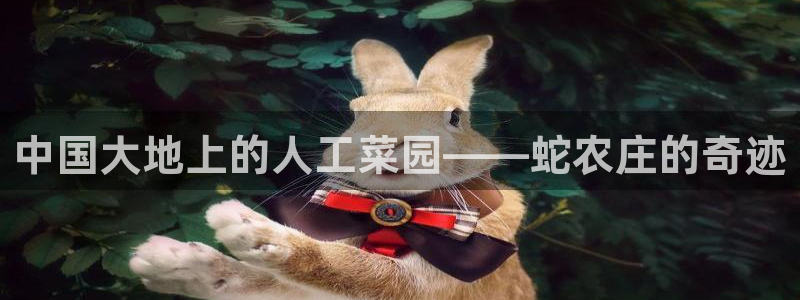 天辰娱乐欢乐