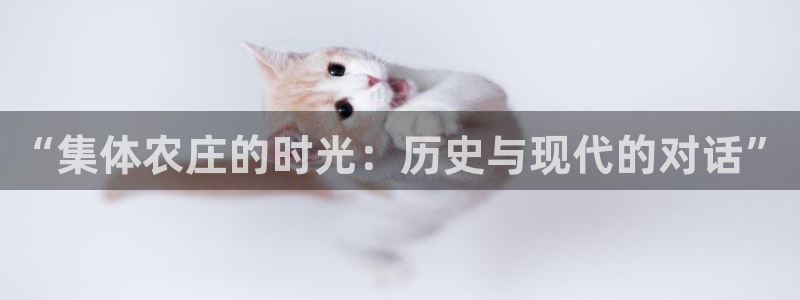 天辰娱乐连接