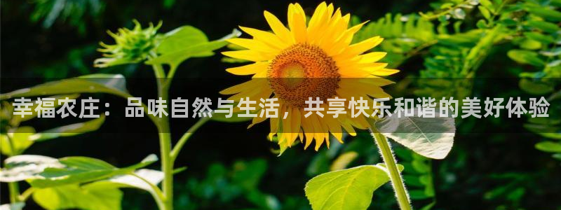 南充天辰娱乐