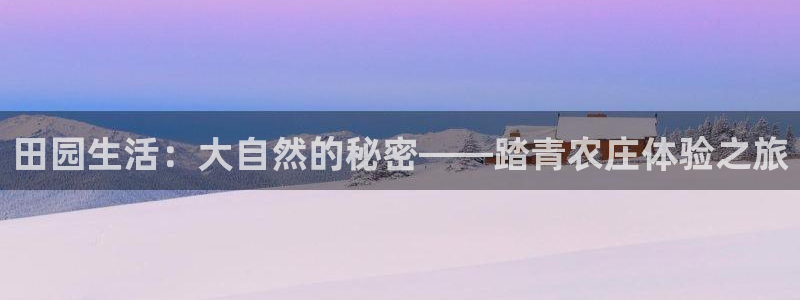 天辰娱乐所