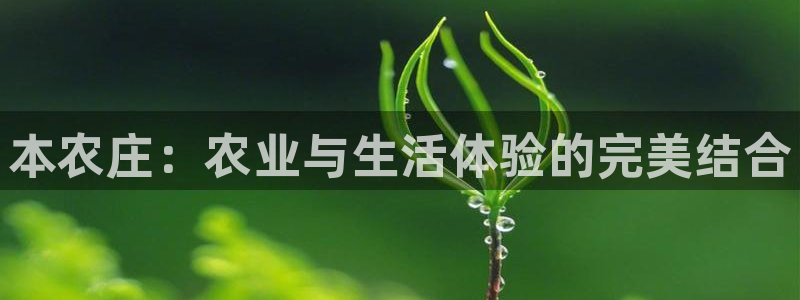 哈尔滨天辰娱乐