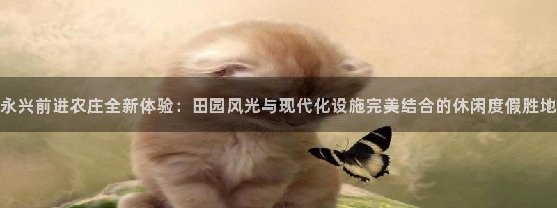 天辰娱乐 首选