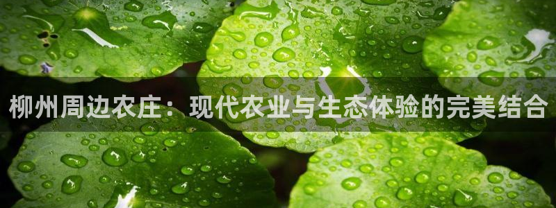天辰娱乐网址娱乐游戏